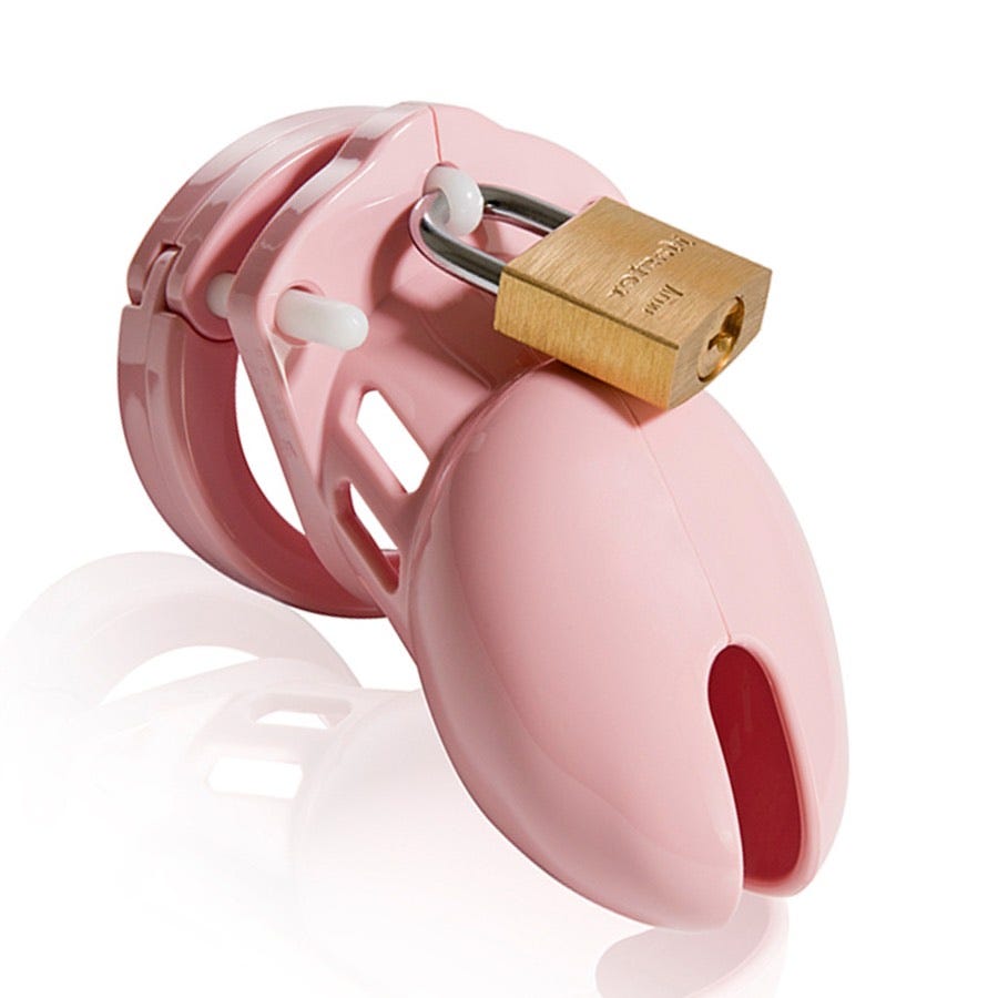 Image of CB-6000s Chastity Cage - Rosa