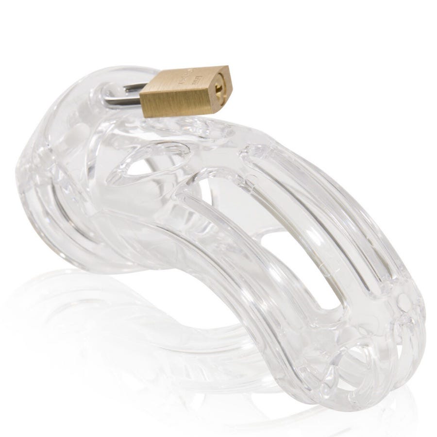 Image of The Curve Chastity Cage