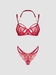 Obsessive Matildea Lace Bra Set with Open Crotch