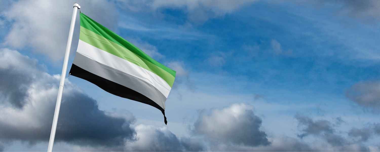 Aromantische Pride-Flagge mit grünen, weissen, grauen und schwarzen Streifen vor blauem Himmel