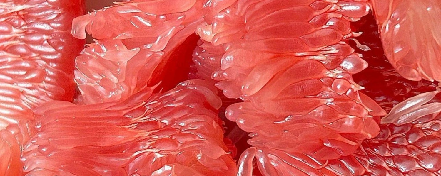 Caroline Fux : découvre le potentiel érotique varié de tes organes génitaux