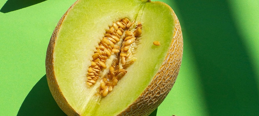 Close up of a wet body